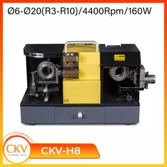 Máy mài dao phay cầu R3-10 CKV-H8