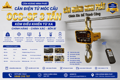 Cần mua cân điện tử móc cẩu 3 tấn để cân sắt thép? Nên mua mẫu nào, ở đâu?