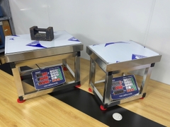 Cân ghế điện tử 200kg INOX Chống Nước HMP9 Thương hiệu CÂN HOÀNG MINH PHÁT