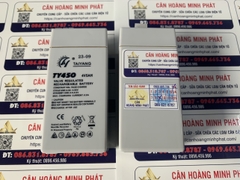 Pin (Ắc Quy) Cân Điện Tử 4V/5AH