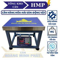 Cân Ghế Điện Tử 100kg HMP9 | Tính Tiền, Chống Nước, Chốt Số | Tiếng Việt | Hoàng Minh Phát