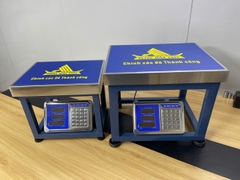 Cân ghế điện tử 100KG HM6 - CÂN HOÀNG MINH PHÁT