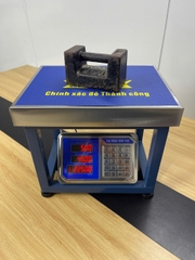 Cân ghế điện tử 80KG HM6 - CÂN HOÀNG MINH PHÁT
