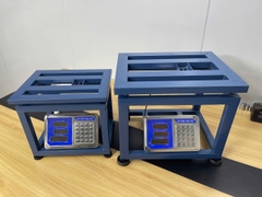 Cân ghế điện tử 350KG HM6 - CÂN HOÀNG MINH PHÁT