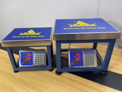 Cân ghế điện tử 350KG HM6 - CÂN HOÀNG MINH PHÁT