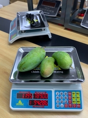 Cân điện tử 40KG tính tiền HMP666-40KG - PHÍM TIẾNG VIỆT - Thương Hiệu CÂN HOÀNG MINH PHÁT