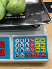 Cân điện tử 40KG tính tiền HMP666-40KG - PHÍM TIẾNG VIỆT - Thương Hiệu CÂN HOÀNG MINH PHÁT