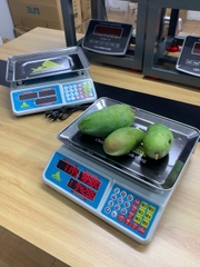 Cân điện tử 40KG tính tiền HMP666-40KG - PHÍM TIẾNG VIỆT - Thương Hiệu CÂN HOÀNG MINH PHÁT