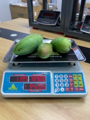 Cân điện tử 40KG tính tiền HMP666-40KG - PHÍM TIẾNG VIỆT - Thương Hiệu CÂN HOÀNG MINH PHÁT