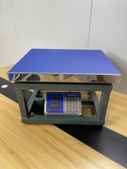 Cân ghế điện tử 500kg HM6 thương hiệu CÂN HOÀNG MINH PHÁT