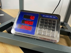 Cân ghế điện tử 500kg HM6 thương hiệu CÂN HOÀNG MINH PHÁT