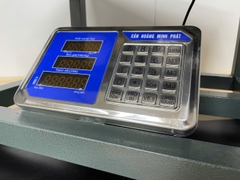 Cân ghế điện tử 500kg HM6 thương hiệu CÂN HOÀNG MINH PHÁT