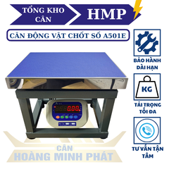 Cân Ghế Điện Tử 300kg A501E | Cân Hàng Hóa, Nông Sản Chính Xác Cao