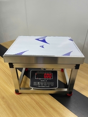 Cân ghế điện tử 350KG Full INOX Chống nước Chốt số SUPER-SS. LED ĐỎ