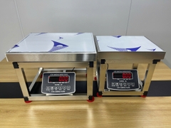 Cân ghế điện tử 300KG Full INOX Chống nước Chốt số SUPER-SS. LED ĐỎ