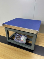 Cân ghế điện tử 500KG Thương hiệu CÂN HOÀNG MINH PHÁT - HMP9