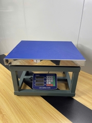 Cân ghế điện tử 500KG Thương hiệu CÂN HOÀNG MINH PHÁT - HMP9