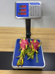 Cân Điện Tử Tính Tiền 60kg H6 | Phím Tiếng Việt | Cân Bán Hàng | Hoàng Minh Phát