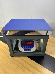 Cân Ghế Điện Tử 300kg A501E | Cân Hàng Hóa, Nông Sản Chính Xác Cao