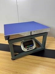 Cân Ghế Điện Tử 500kg A501E | Cân Hàng Hóa, Nông Sản Chính Xác Cao