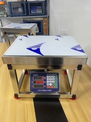 Cân ghế điện tử 300kg INOX Chống Nước HMP9 Thương hiệu CÂN HOÀNG MINH PHÁT