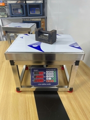 Cân ghế điện tử 300kg INOX Chống Nước HMP9 Thương hiệu CÂN HOÀNG MINH PHÁT