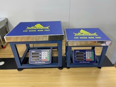 Cân ghế điện tử 80kg HMP9 Thương Hiệu CÂN HOÀNG MINH PHÁT. Cân tính tiền, chống nước. Cân Chốt Số - Tiếng việt