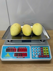 Cân điện tử 40KG tính tiền HMP666-40KG - PHÍM TIẾNG VIỆT - Thương Hiệu CÂN HOÀNG MINH PHÁT