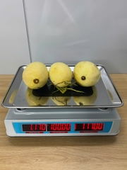 Cân điện tử 40KG tính tiền HMP666-40KG - PHÍM TIẾNG VIỆT - Thương Hiệu CÂN HOÀNG MINH PHÁT