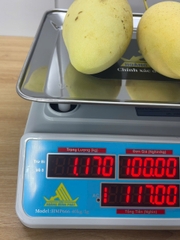 Cân điện tử 40KG tính tiền HMP666-40KG - PHÍM TIẾNG VIỆT - Thương Hiệu CÂN HOÀNG MINH PHÁT