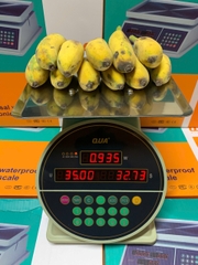 Cân Điện Tử Tính Tiền 30kg Q1 | Cân Bán Hàng, Thực Phẩm Chính Xác Cao