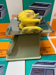 Cân Điện Tử Tính Tiền 30kg Q1 | Cân Bán Hàng, Thực Phẩm Chính Xác Cao