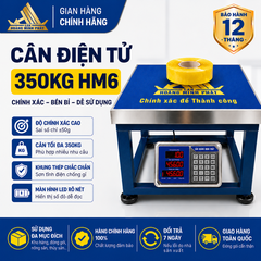 Cân ghế điện tử 350KG HM6 - CÂN HOÀNG MINH PHÁT