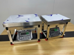 Cân ghế điện tử 100KG Full INOX Chống nước Chốt số SUPER-SS. LED XANH