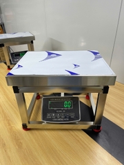 Cân ghế điện tử 300KG Full INOX Chống nước Chốt số SUPER-SS. LED XANH