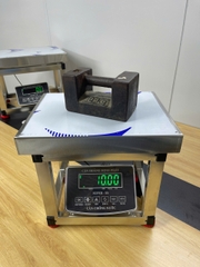 Cân ghế điện tử 150KG Full INOX Chống nước Chốt số SUPER-SS. LED XANH