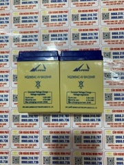 Pin cân điện tử 4v6ah, Ắc quy 4V6H, Bình Ắc quy 4V6H - Pin Khô Dung Lượng Cao