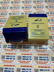 Pin cân điện tử 4v6ah, Ắc quy 4V6H, Bình Ắc quy 4V6H - Pin Khô Dung Lượng Cao