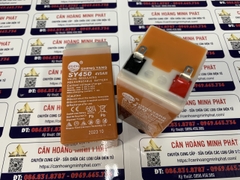 Pin (Ắc Quy) cân điện tử 4V/5Ah-SY450 Vàng Chất Lượng