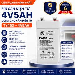 Pin (Ắc Quy) Cân Điện Tử 4V/5AH