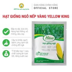Ngô nếp vàng YELLOW KING