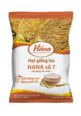 Hạt giống lúa thuần HANA số 7