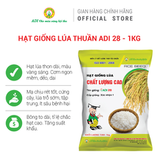 Hạt giống lúa Thuần ADI 28