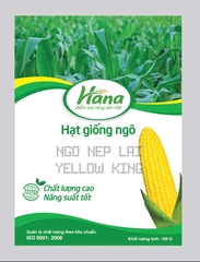Ngô nếp vàng YELLOW KING