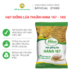 Hạt giống lúa thuần HANA 167