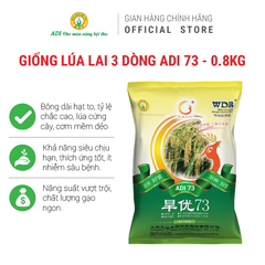 Hạt giống lúa lai 3 dòng ADI 73