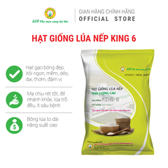 Lúa nếp KING 6