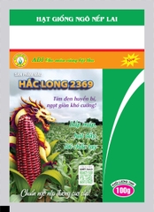 Ngô nếp tím đường Hắc Long 2369 50gr