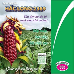 Ngô nếp tím đường Hắc Long 2369 50gr