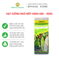 Hạt giống ngô nếp HANA 685